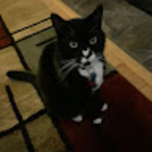 Meet your Posher, Francine